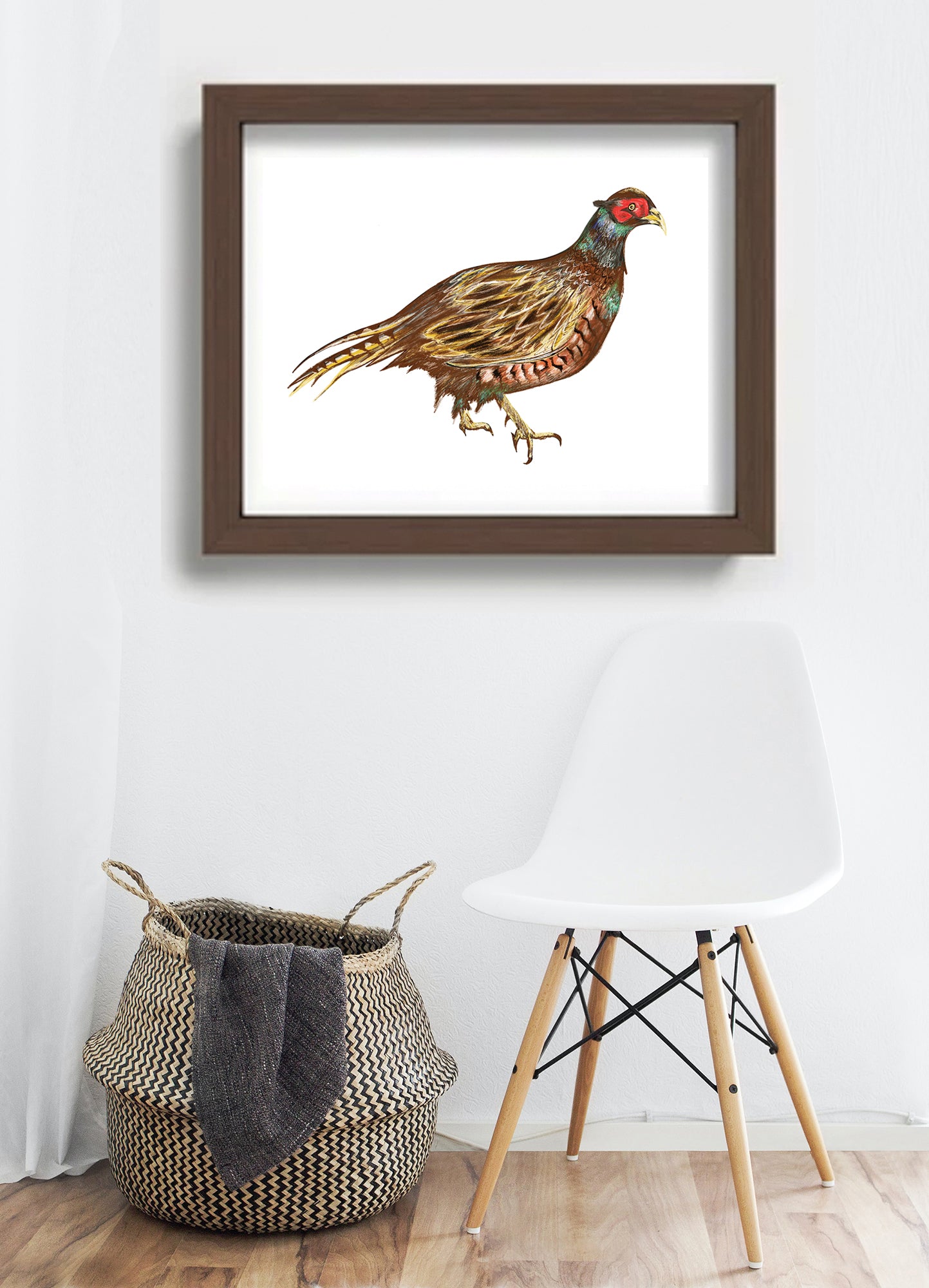 Scottish Pheasant Illustration - A4